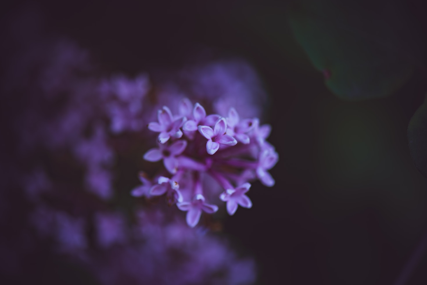 Moc ekologicznych baśni w nowoczesnym świecie